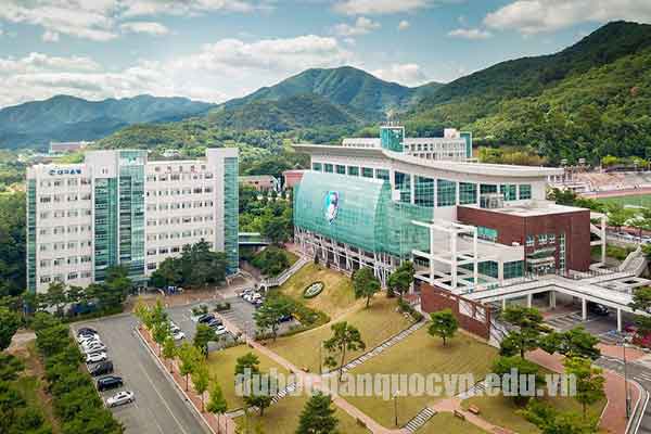 đại học Daegu Hanny