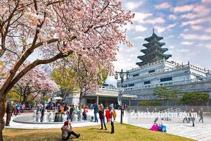 Lý do đi du học Hàn Quốc