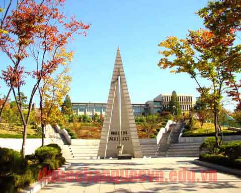 du học Hàn Quốc ngành Quốc tế học
