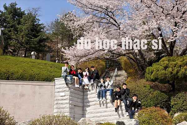 Du học thạc sĩ Hàn Quốc