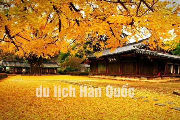 Hàn Quốc mùa nào đẹp nhất