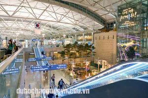 các loại visa D4