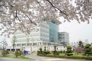 Du học Hàn Quốc bằng tiếng Anh