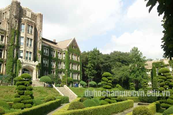 Du học Hàn Quốc ngành ngôn ngữ Hàn Du học Hàn Quốc ngành ngôn ngữ Hàn