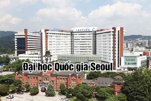 Đại học Quốc gia Seoul