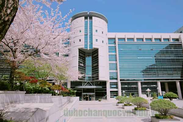 Cao Đẳng ở Seoul Cao Đẳng ở Seoul