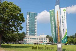 trường Đại học Daegu