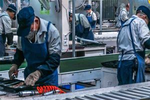 Hàn Quốc cấp phép để bố mẹ du học sinh sang lao động thời vụ