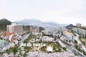 Trường Đại học Dong Eui