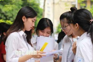 Không học đại học có đi du học được không