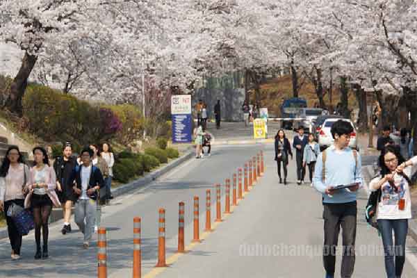 Bằng Trung Cấp Nghề có đi du học Hàn Quốc được không