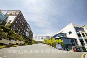 các trường Cao đẳng nghề ở Busan Hàn Quốc