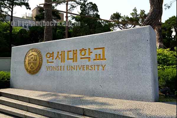 trường Đại học Yonsei trường Đại học Yonsei