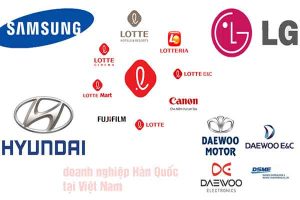 Đi du học Hàn Quốc về Việt Nam làm gì