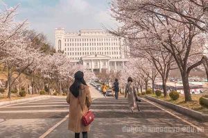 các loại học bổng du học Hàn Quốc