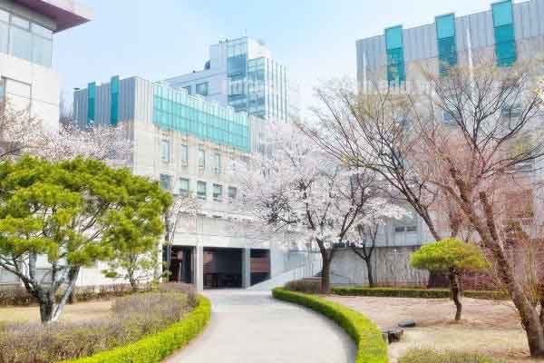 các trường Top 3 Hàn Quốc các trường Top 3 Hàn Quốc