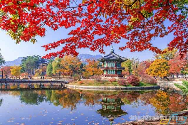 Hàn Quốc có bao nhiêu tỉnh và thành phố Hàn Quốc có bao nhiêu tỉnh và thành phố