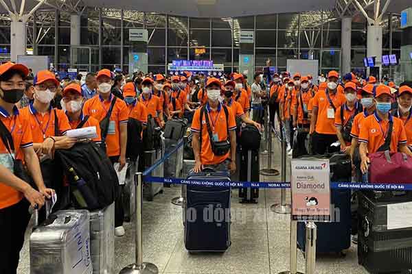 Làm việc tại Hàn Quốc theo chương trình EPS