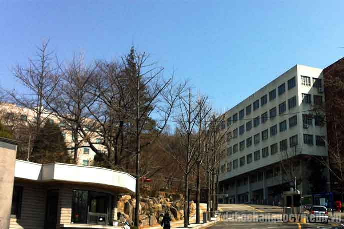 trường Top 3 Hàn Quốc