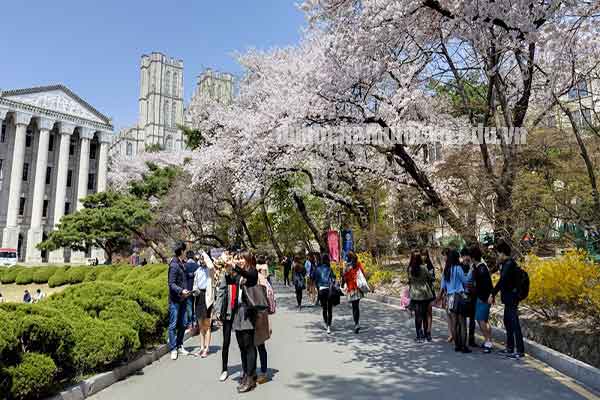 Kinh nghiệm du học Hàn Quốc