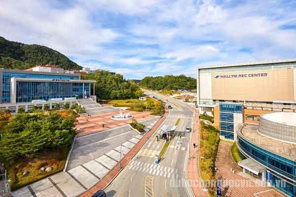 Đại học Hallym