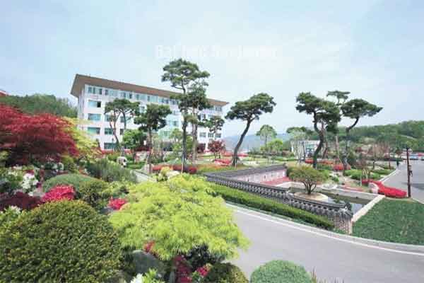 Đại học Seojeong Đại học Seojeong