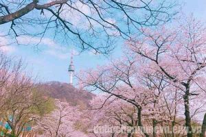 Múi giờ Hàn Quốc so với Đài Loan