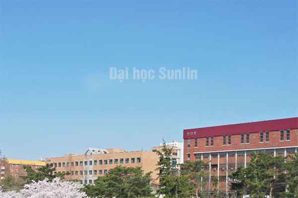 Đại học Sunlin