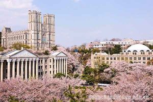 Các Trường Đào Tạo Ngành Ngôn Ngữ Hàn ở Hàn Quốc