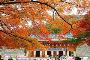 Nên đi du lịch Đài Loan hay Hàn Quốc