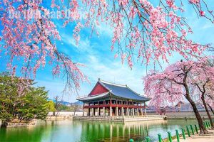 So sánh thời tiết Hàn Quốc và Đài Loan