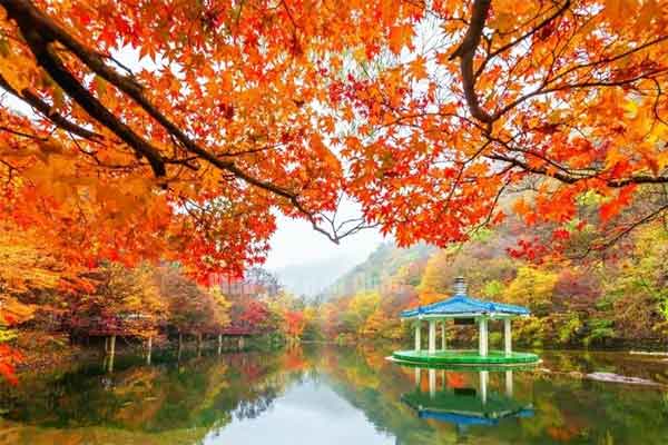 Thời tiết Hàn Quốc Tháng 10