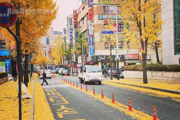 Thời tiết tháng 10 ở Hàn Quốc 