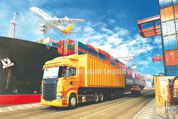 Con gái có nên học ngành Logistics không