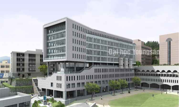 Đại học Youngsan