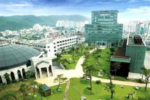 Trường Cao đẳng Y tế Daegu