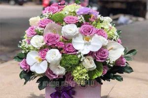 lời chúc mừng ngày 20/10 bằng tiếng Hàn