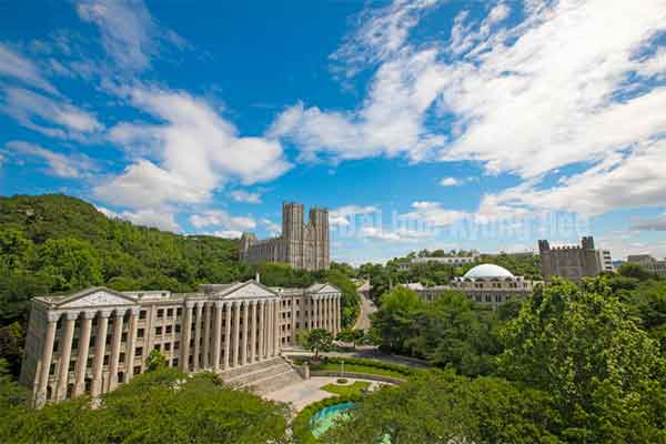 Đại học Kyung Hee