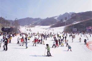 Kỳ nghỉ đông của du học sinh ở Hàn Quốc