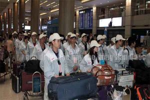 nên đi du học hay xuất khẩu lao động Hàn Quốc