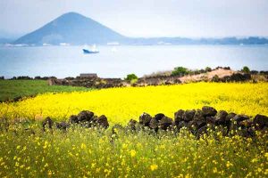 Du học sinh Hàn Quốc có được nghỉ hè không